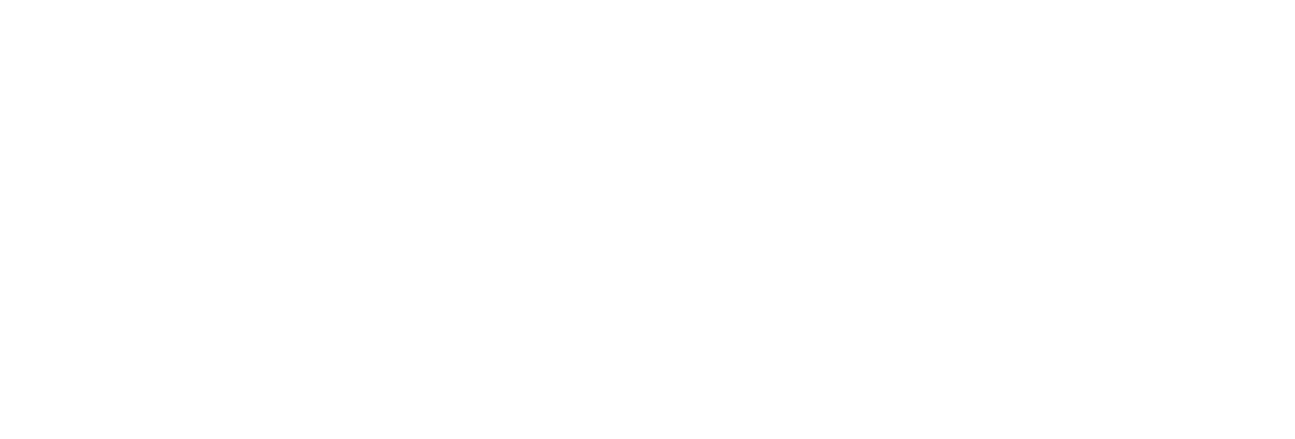 WAVE-icon-white_Page7